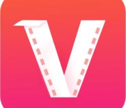 VidPaw Convert Any Video